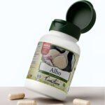 Alho ComKasca 60 caps